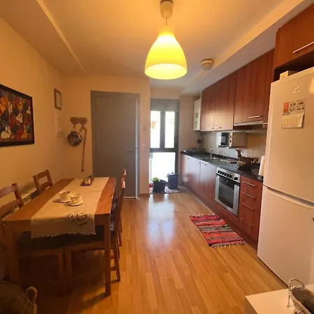 Cal Bergueda Apartman Bagá